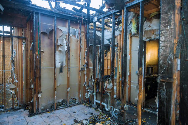 Professional Odor Removal technician working in Northfield, KY