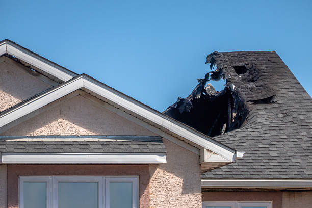 Top rated local Odor Removal specialists in Northfield, KY